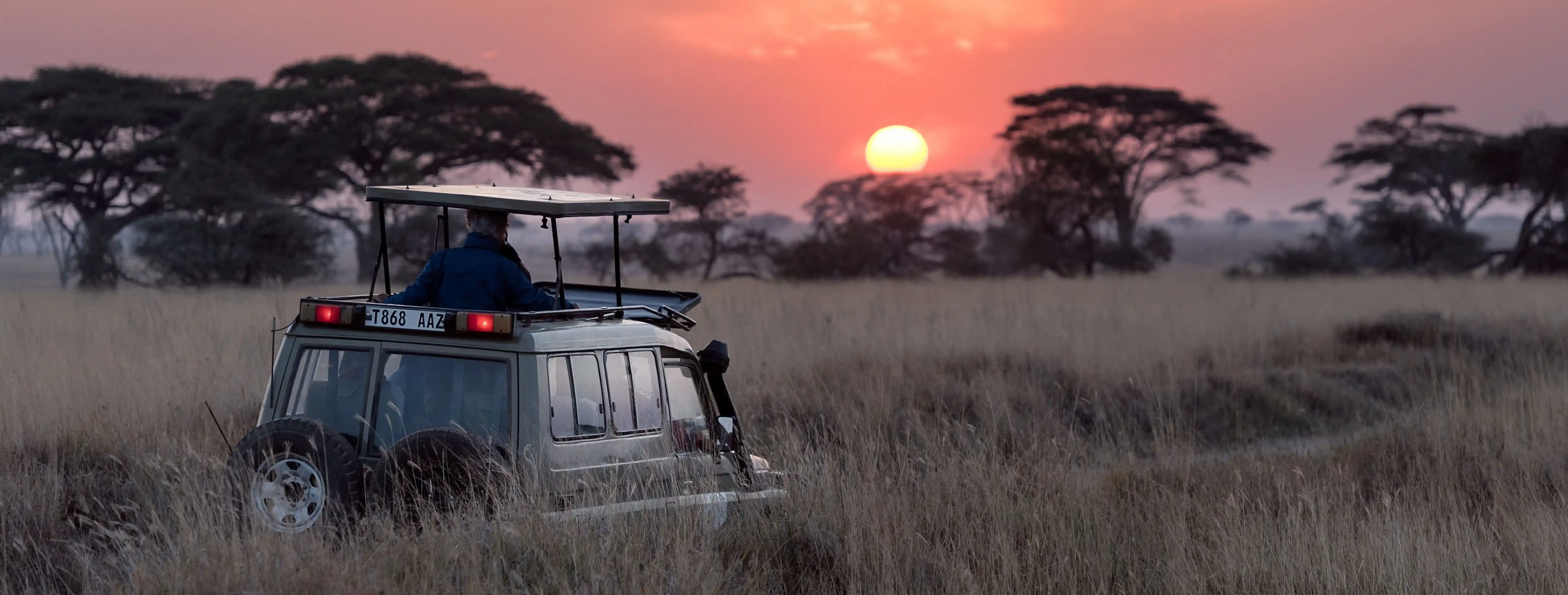Fotografía de Vida Salvaje: Técnicas y Consejos - Aprende las mejores técnicas para fotografiar animales en safari. Desde el equipo necesario hasta la composición perfecta para capturar momentos únicos.
