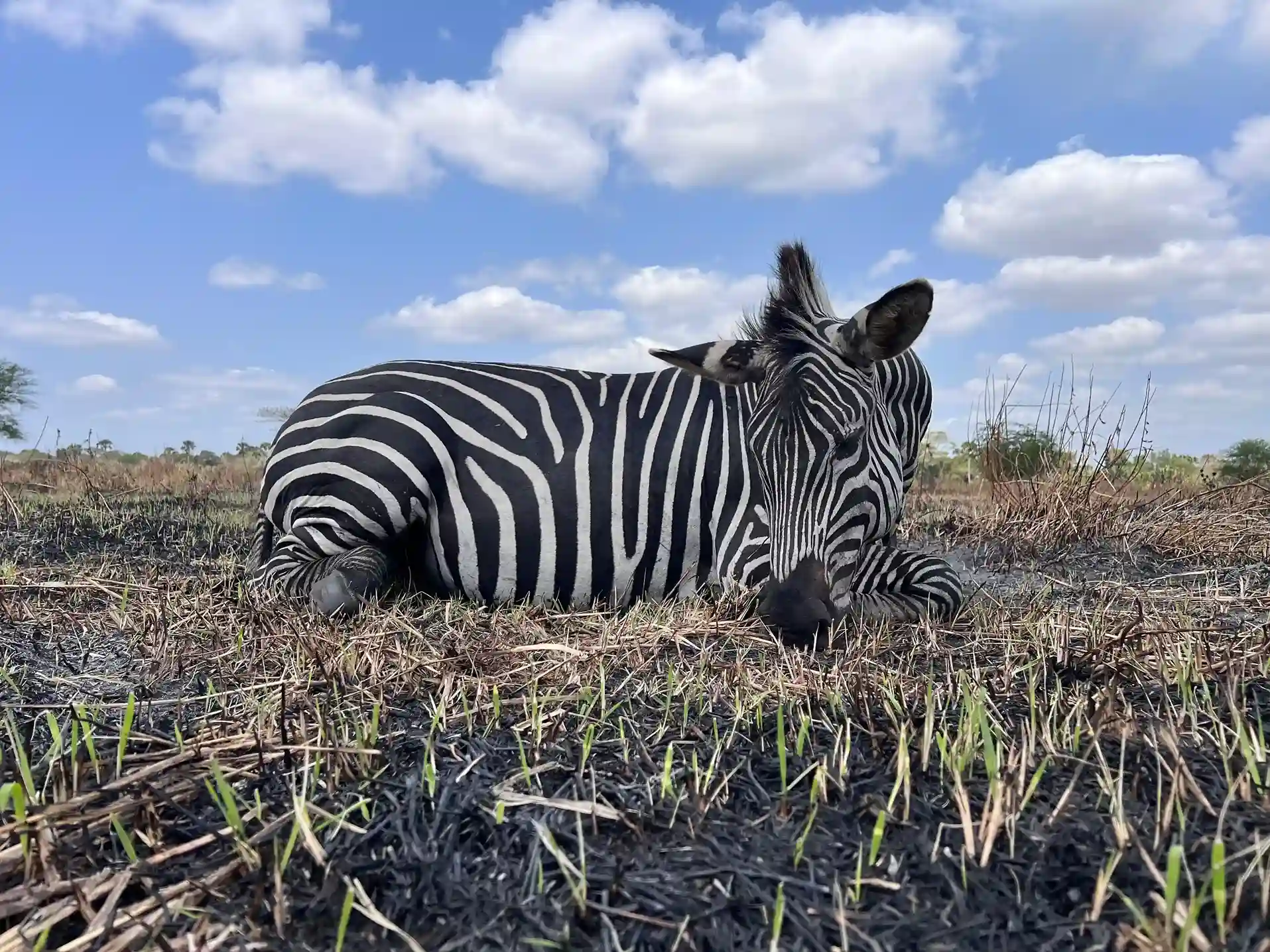 Paquete Avanzado - Imagen 1