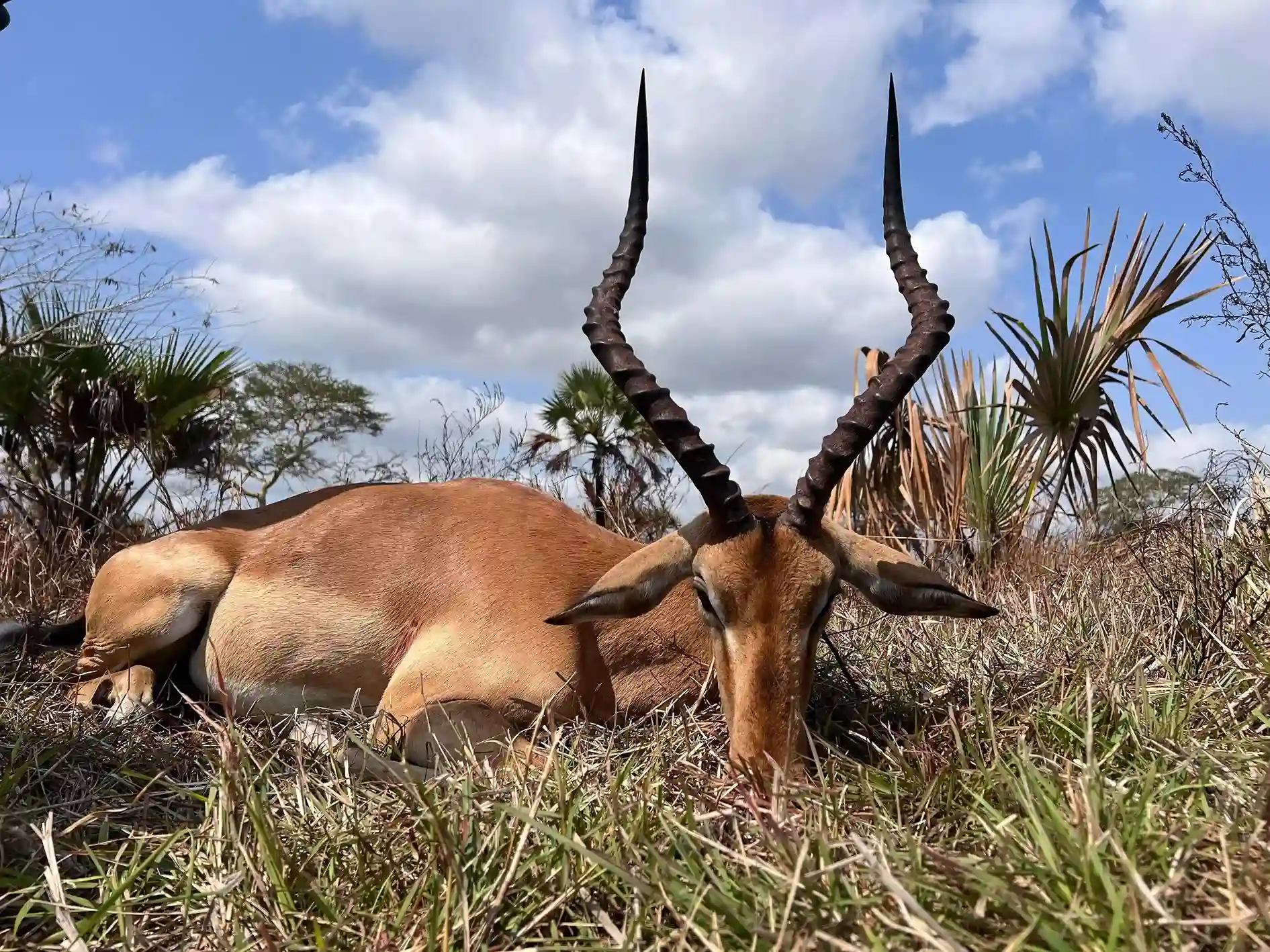 Paquete Básico - Imagen 2