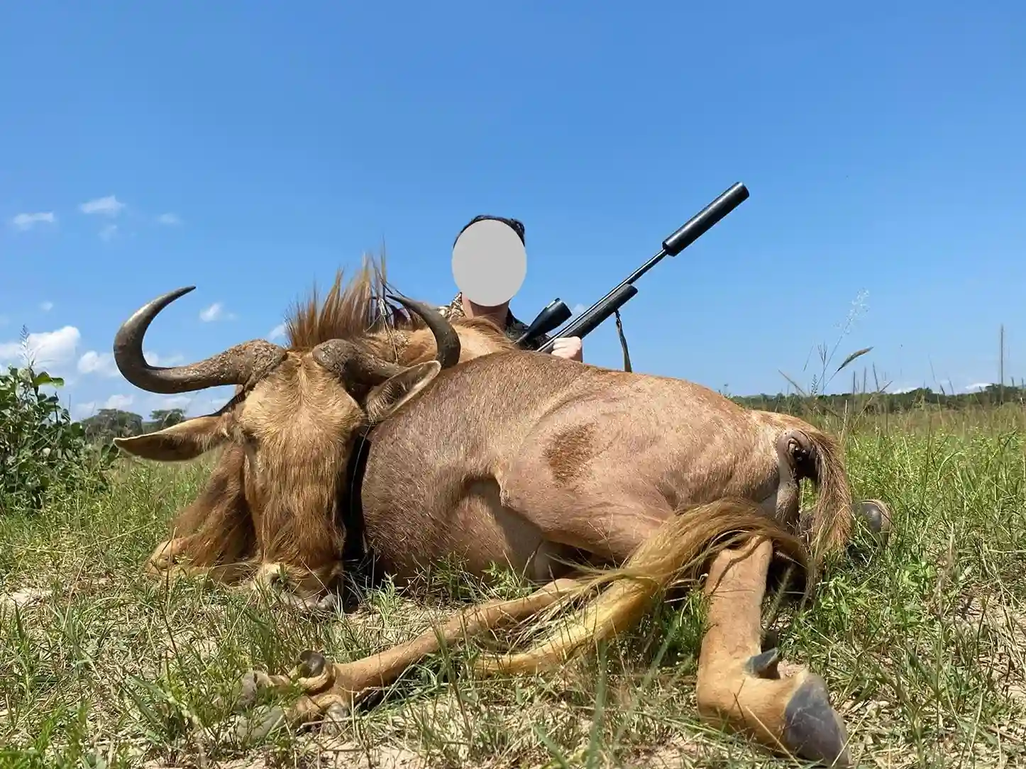 Paquete Élite - Imagen 2