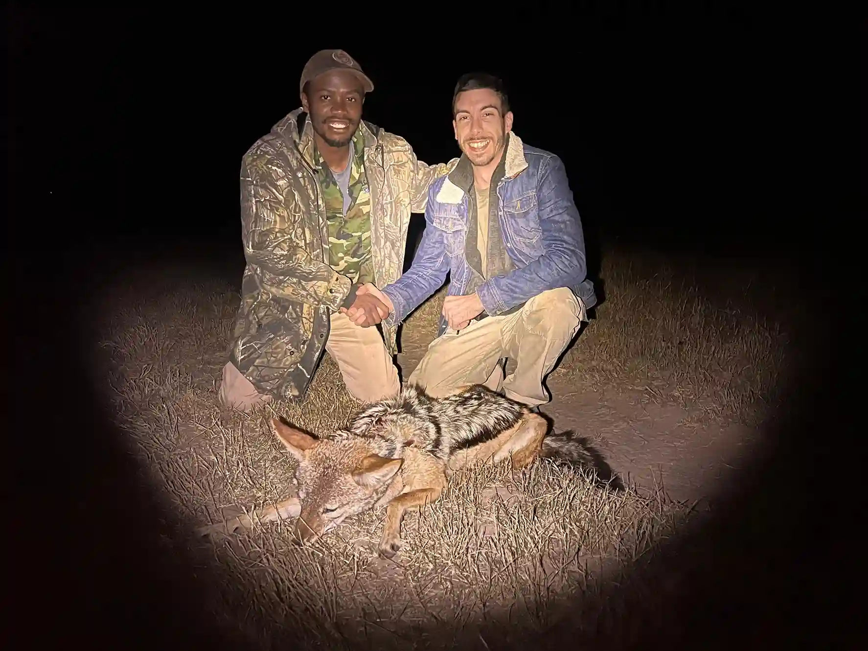 Night Owl Paquete - Imagen 2